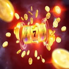 28wim
